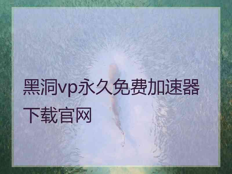 黑洞vp永久免费加速器下载官网