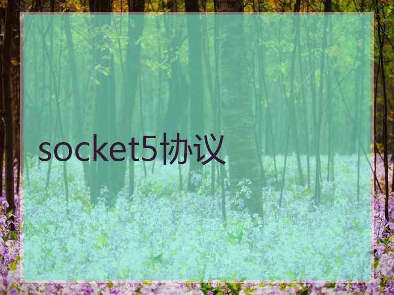 socket5协议