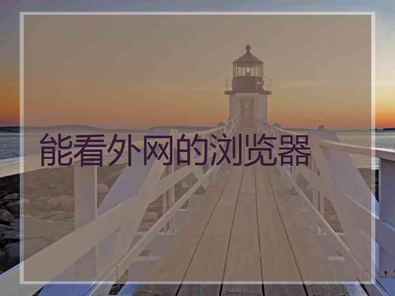 能看外网的浏览器