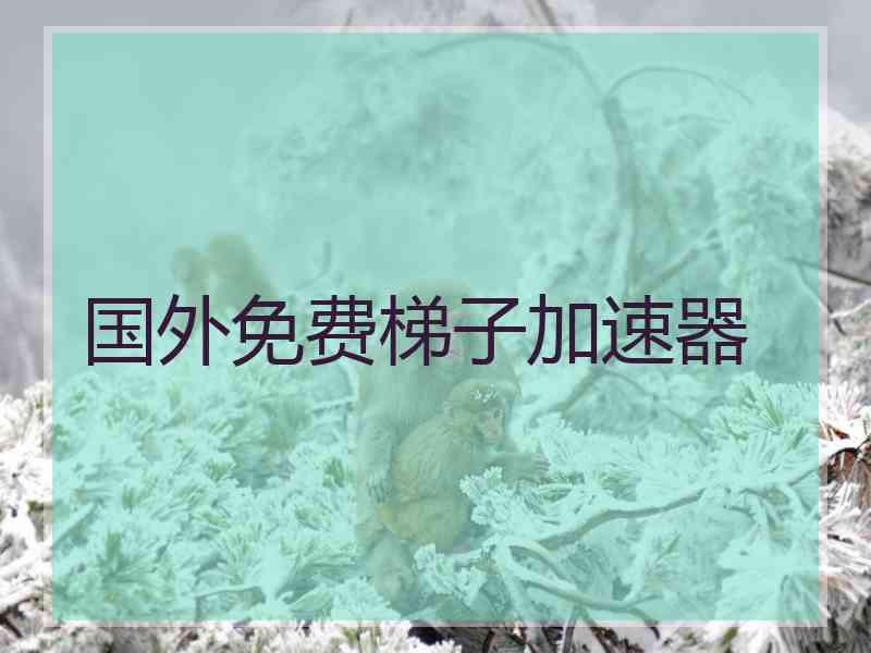 国外免费梯子加速器