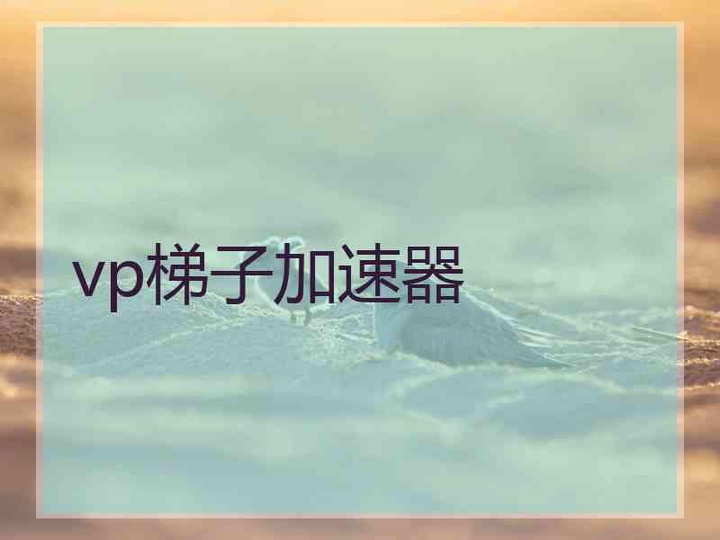 vp梯子加速器