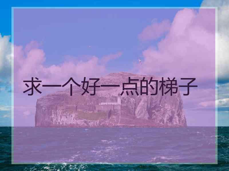 求一个好一点的梯子