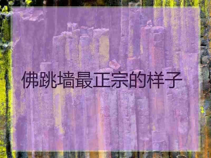 佛跳墙最正宗的样子
