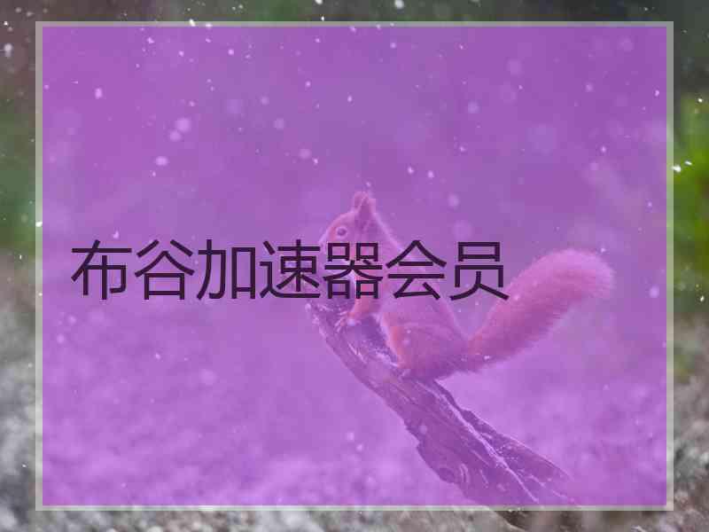 布谷加速器会员
