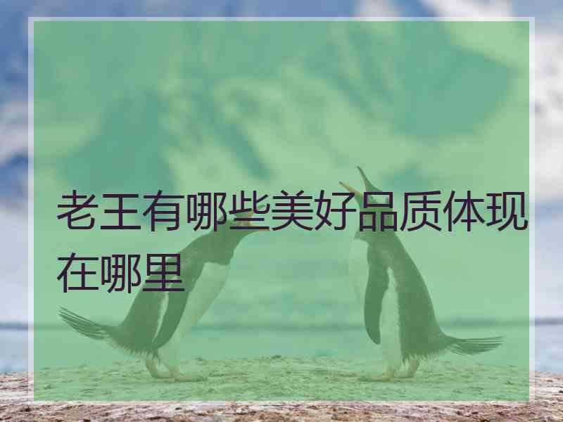 老王有哪些美好品质体现在哪里