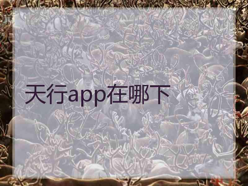 天行app在哪下
