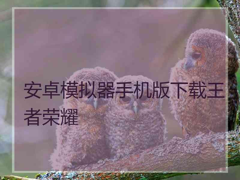 安卓模拟器手机版下载王者荣耀