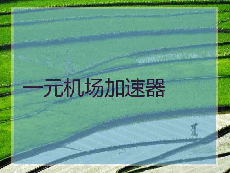 一元机场加速器