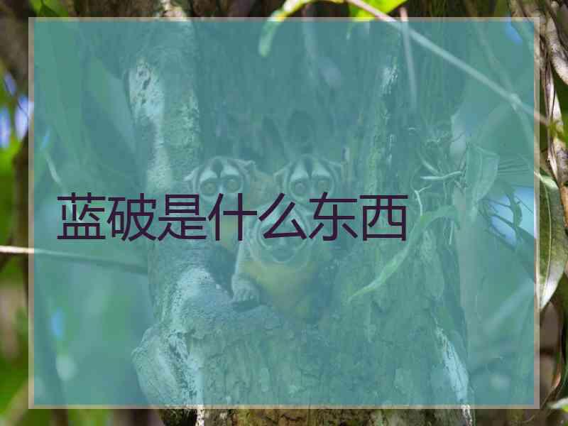 蓝破是什么东西