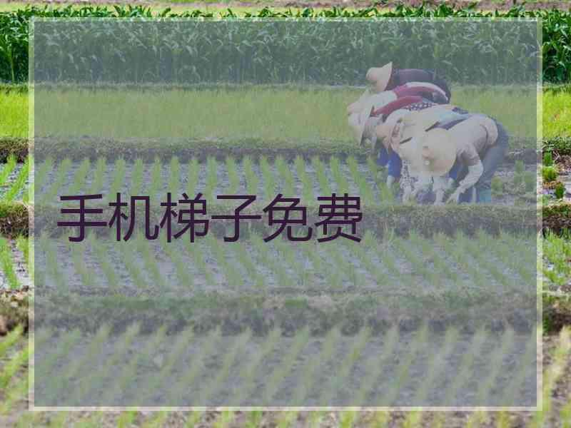 手机梯子免费