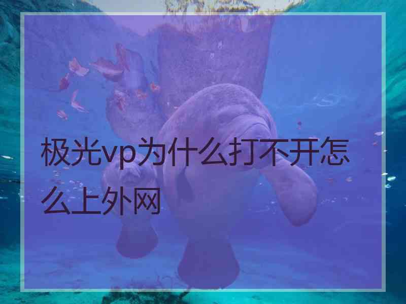极光vp为什么打不开怎么上外网
