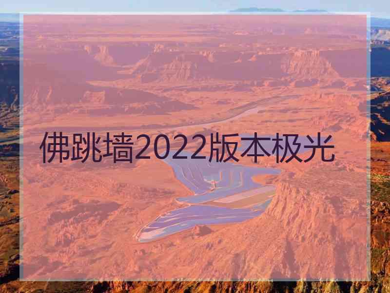 佛跳墙2022版本极光