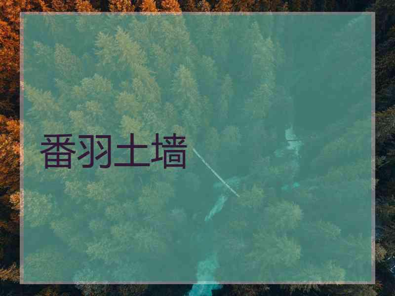 番羽土墙