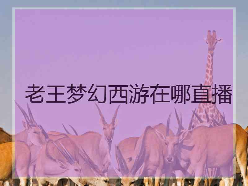 老王梦幻西游在哪直播