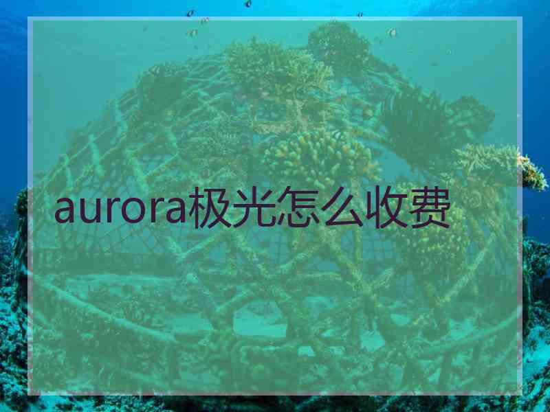 aurora极光怎么收费