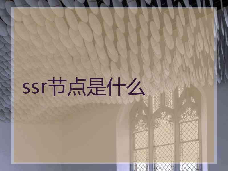 ssr节点是什么