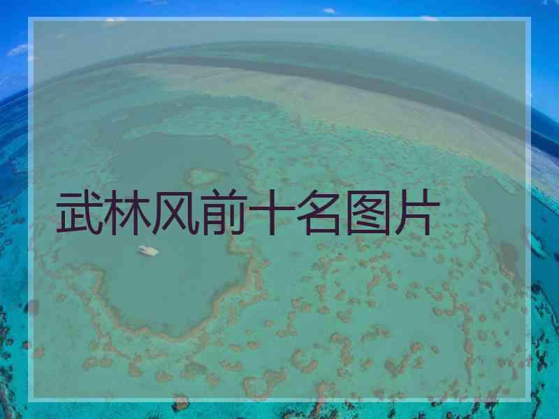 武林风前十名图片