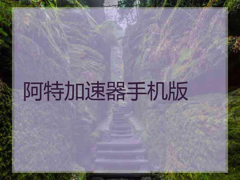 阿特加速器手机版