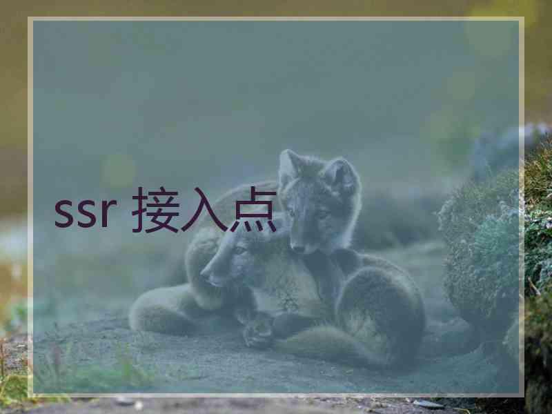 ssr 接入点