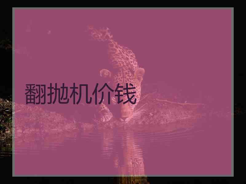 翻抛机价钱