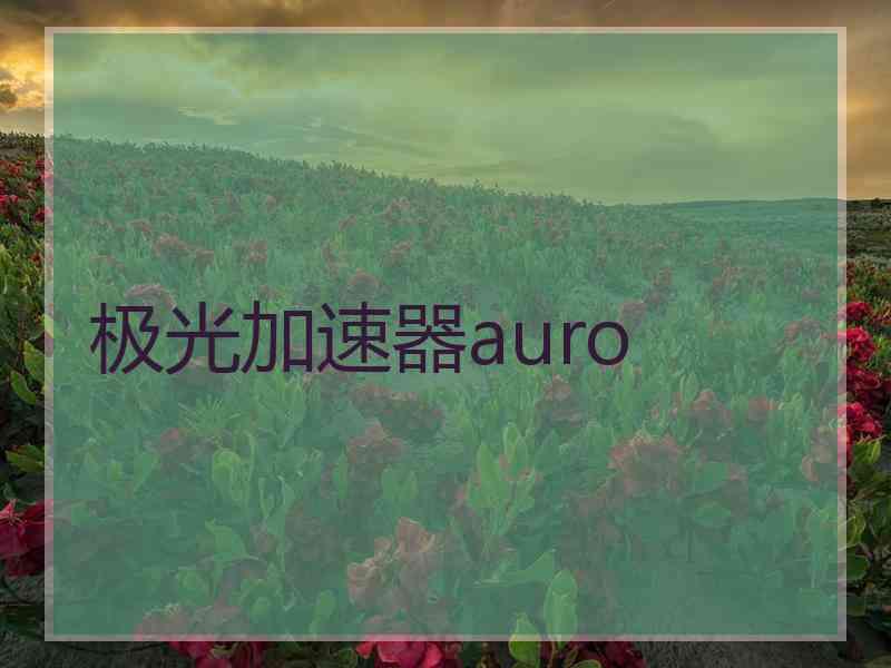 极光加速器auro