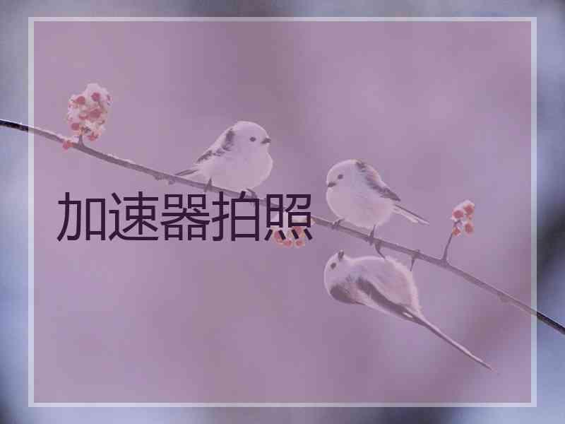 加速器拍照