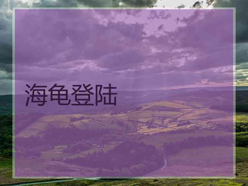 海龟登陆