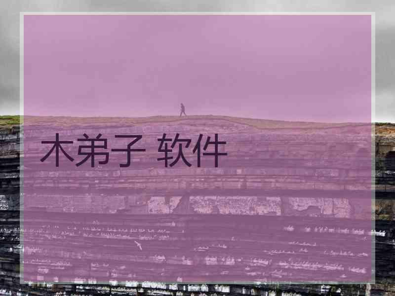 木弟子 软件