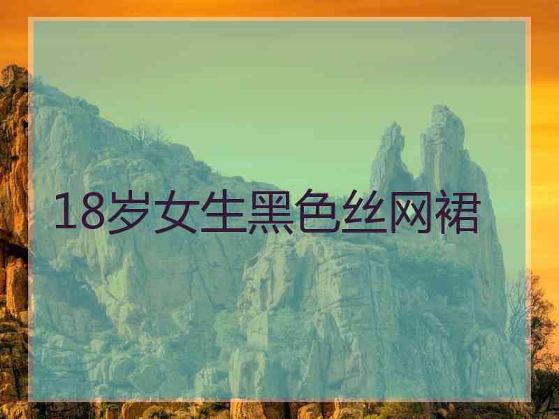 18岁女生黑色丝网裙