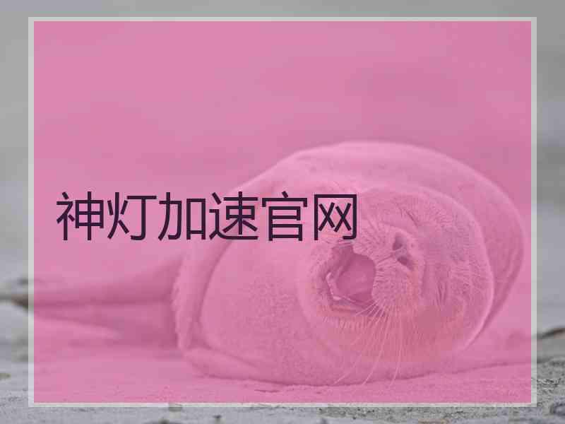 神灯加速官网