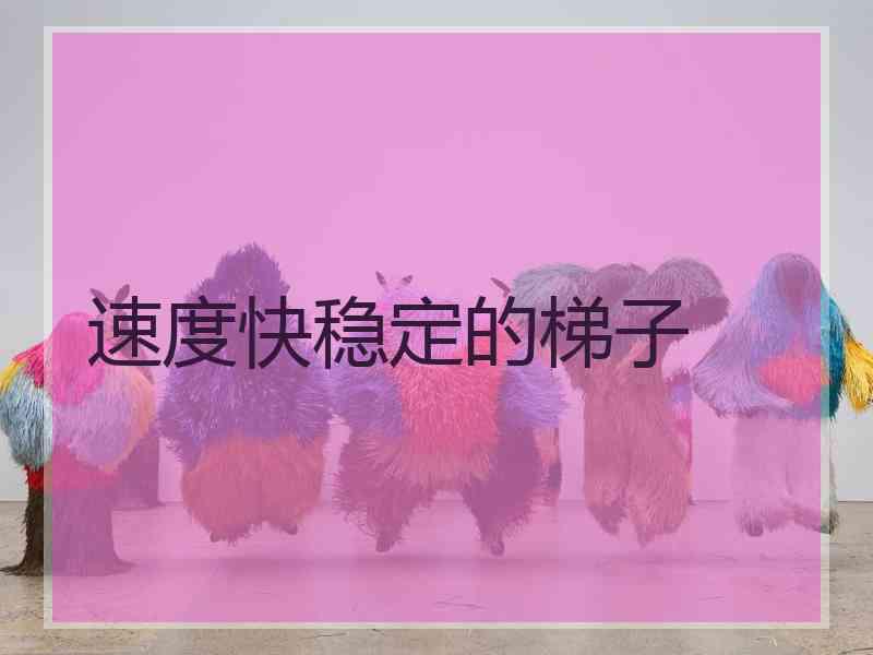 速度快稳定的梯子