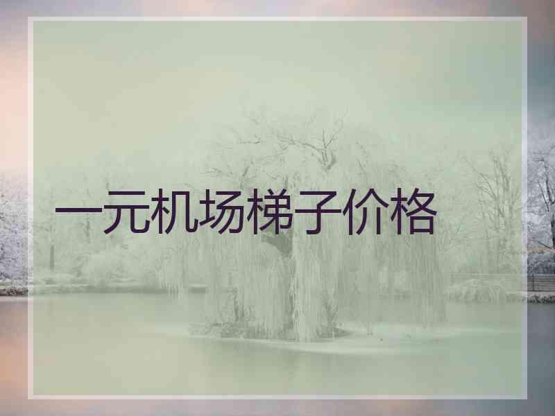 一元机场梯子价格