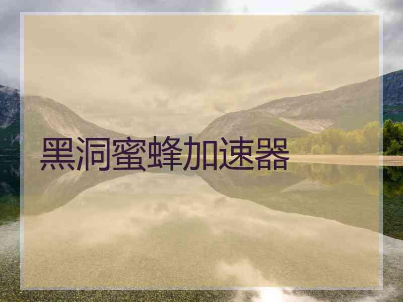 黑洞蜜蜂加速器