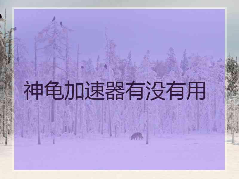 神龟加速器有没有用