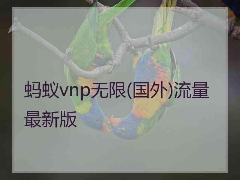 蚂蚁vnp无限(国外)流量最新版
