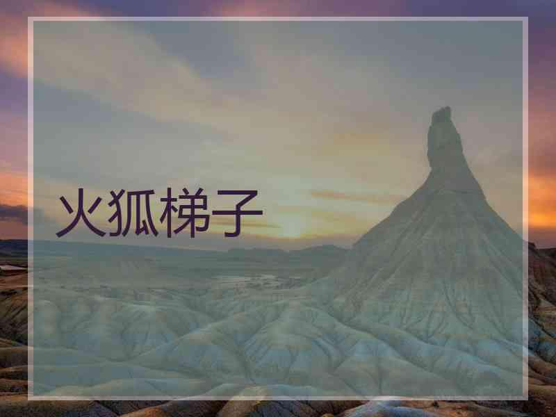 火狐梯子