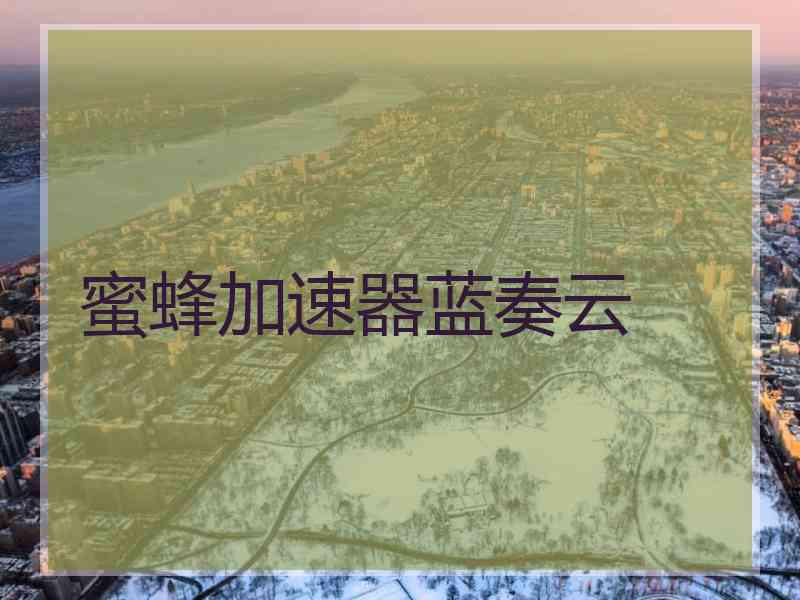蜜蜂加速器蓝奏云