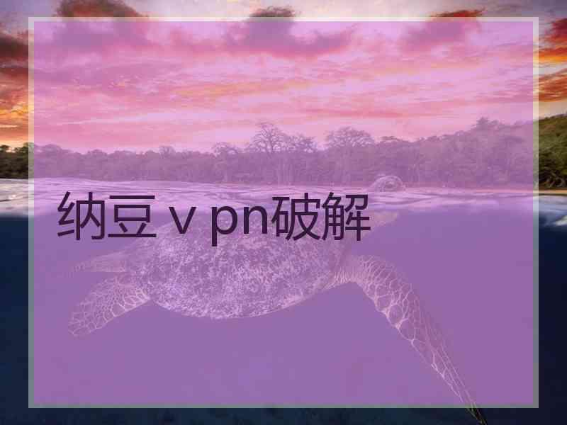 纳豆ⅴpn破解