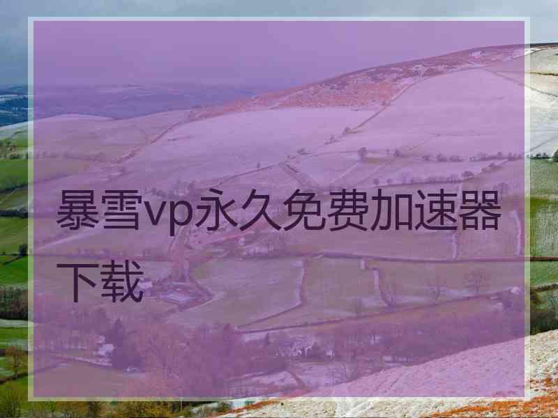 暴雪vp永久免费加速器下载
