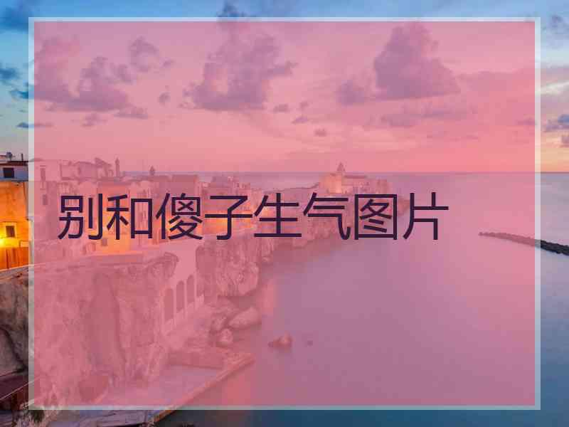别和傻子生气图片