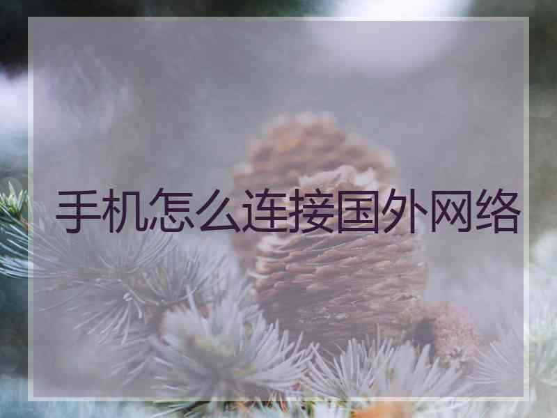 手机怎么连接国外网络