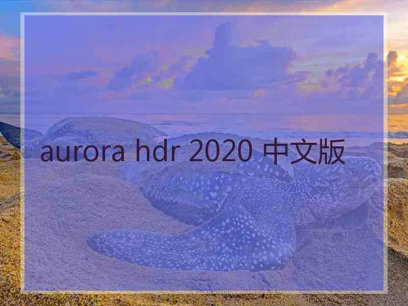 aurora hdr 2020 中文版