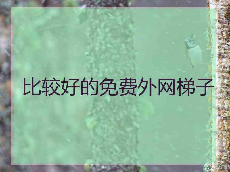 比较好的免费外网梯子