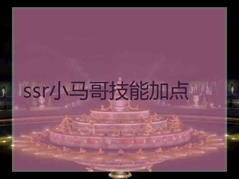 ssr小马哥技能加点