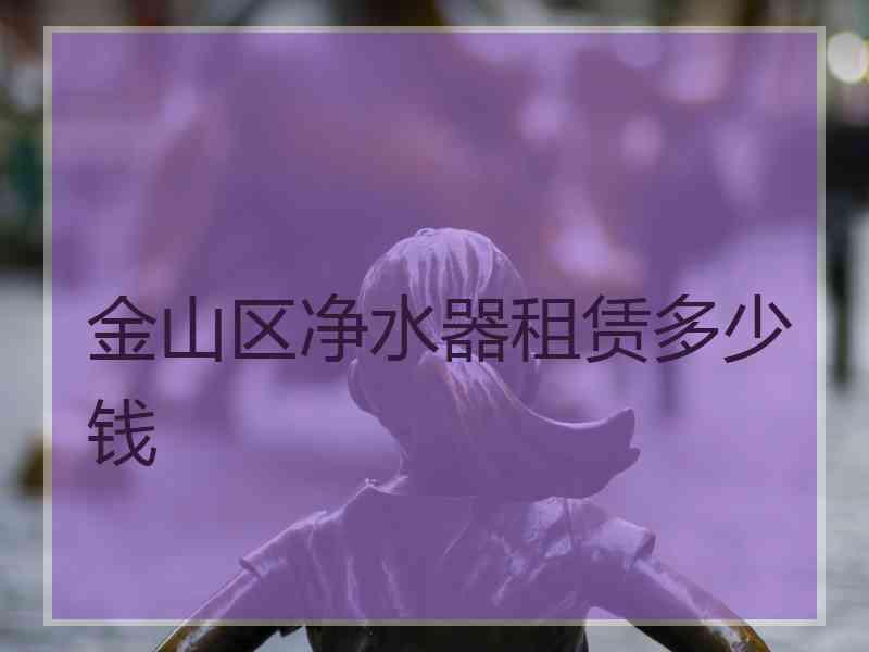 金山区净水器租赁多少钱