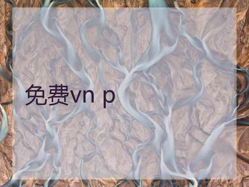 免费vn p