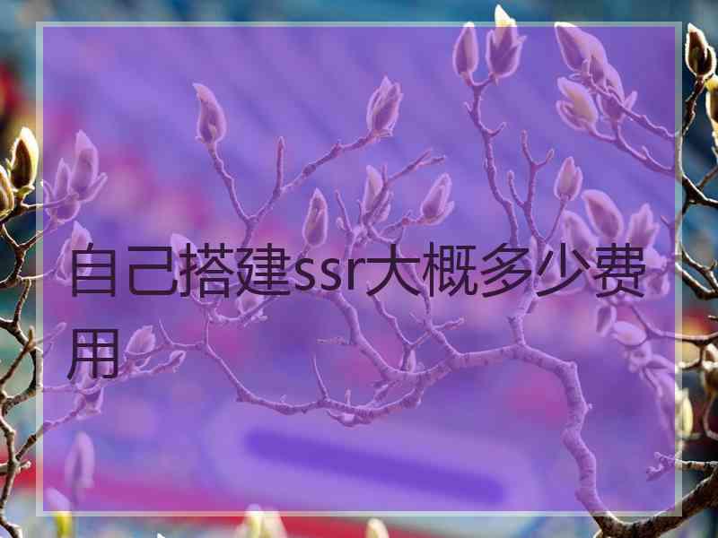 自己搭建ssr大概多少费用