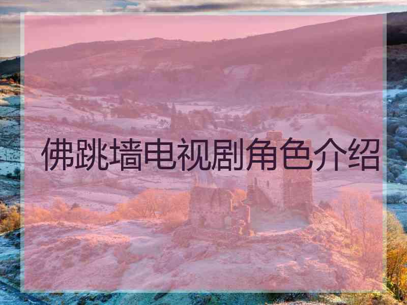 佛跳墙电视剧角色介绍