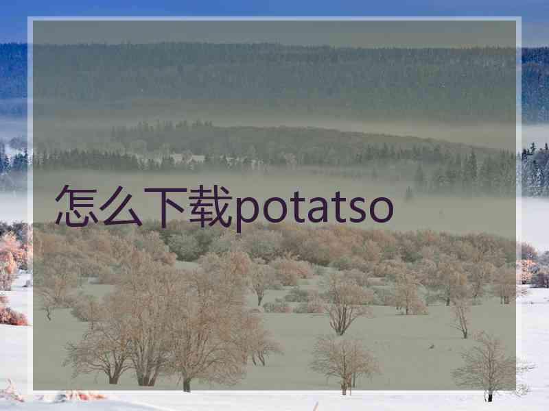 怎么下载potatso