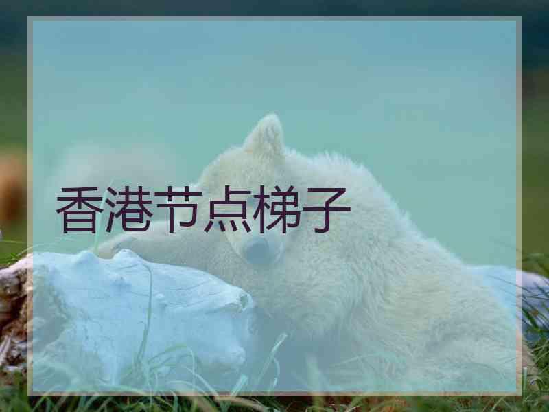 香港节点梯子
